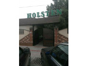 Holsten