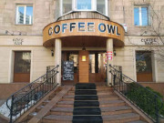 Coffee Owl