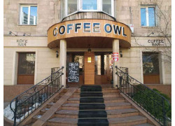 Coffee Owl