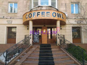 Кафе Coffee Owl - все контакты на портале rest-kz.com