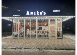 Amiko's Ice
