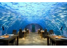 Назарбаева попросили поддержать проект подводного ресторана в Актау