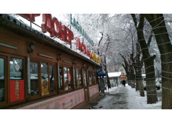 Мастер Doner